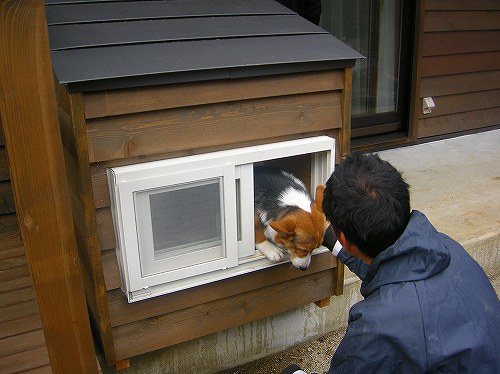 犬小屋