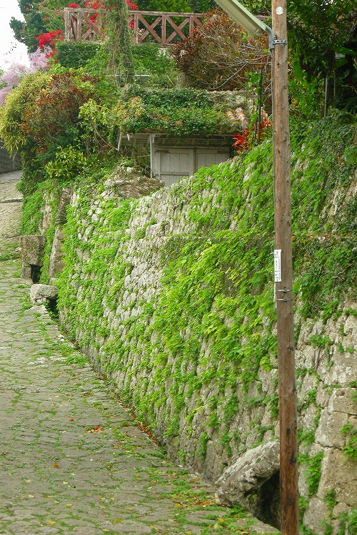 路地