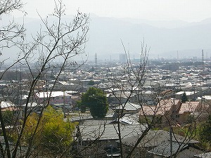景色