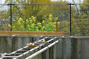 基礎工事