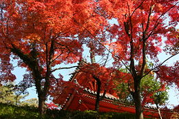 三瀧寺