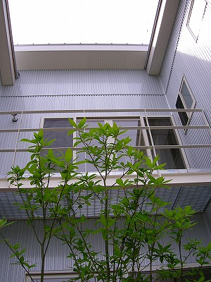 注文建築の家　北側外観