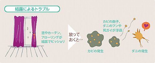 インプラス