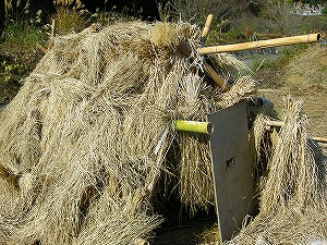 秘密基地