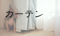 カーテン