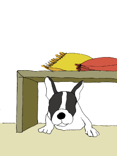 ペットと暮らす家　犬