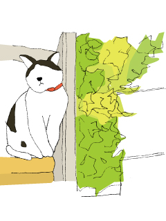 ペットと暮らす家　ねこ