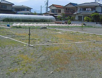 洋風レンガ調の家