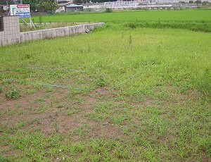 シックに広々おしゃれな家